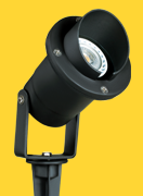 click to enlarge image